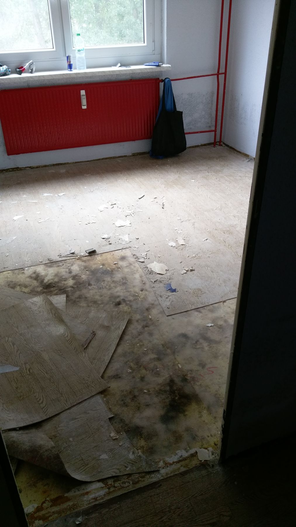 Entfernung des alten Bodenbelags